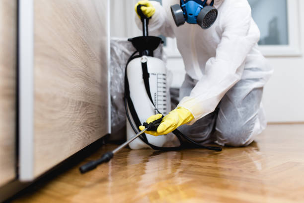 Best Affordable Exterminators  in Etowah, TN