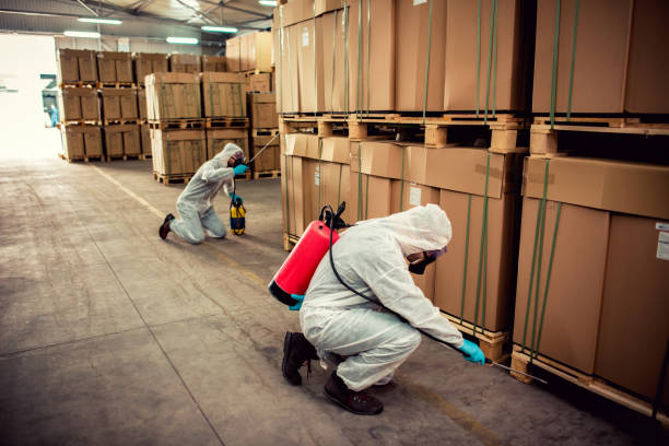 Best Pest Inspection Near Me  in Etowah, TN