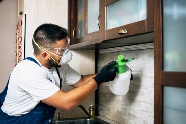 Best Wildlife Control Services  in Etowah, TN