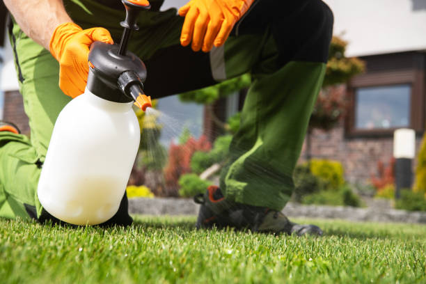 Best Cockroach Control Services  in Etowah, TN