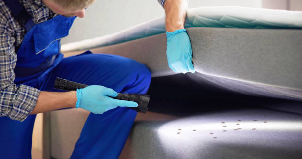 Best Pest Control for Homes  in Etowah, TN